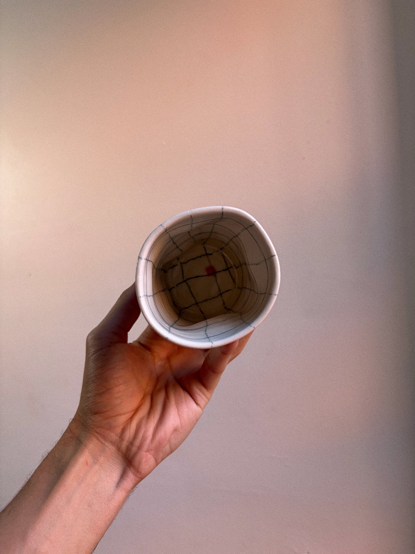cup/vase